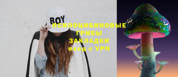дживик Киренск