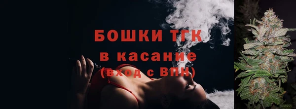 мдпв Касимов