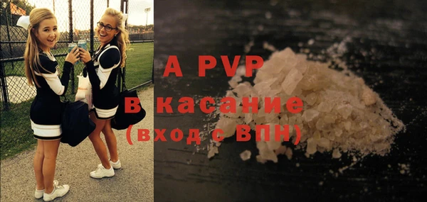 мдпв Касимов