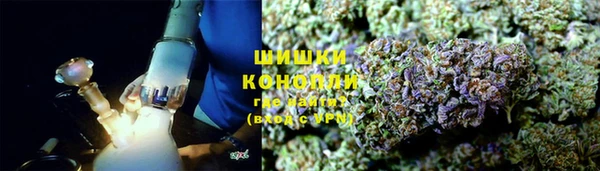 мдпв Касимов