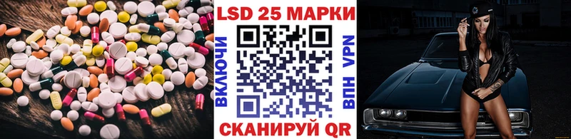 Купить закладки  Княгинино  Лсд 25 экстази ecstasy 
