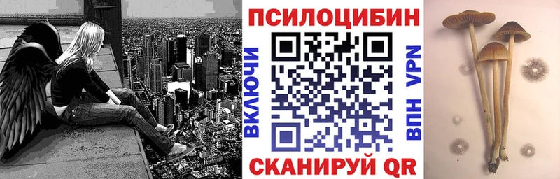 Купить  Княгинино  Псилоцибиновые грибы Magic Shrooms 