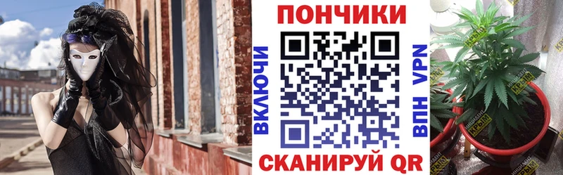Каннабис гибрид  Купить закладки  Княгинино 